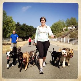 Dog Trainer South Bay Ca