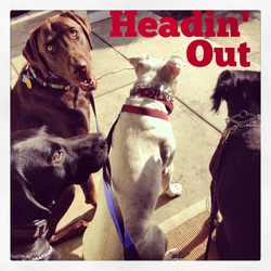 Three dogs sitting together outdoors beneath the words Heading Out