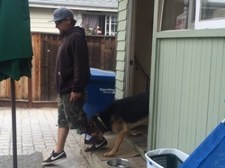 A handler guiding a dog calmly through a doorway threshold