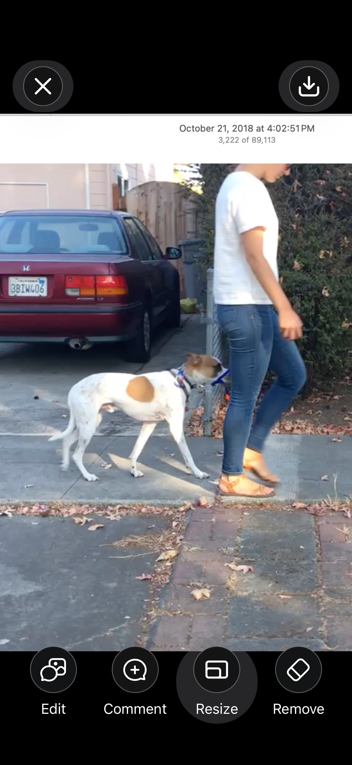 A client walking a white dog with a brown spot on leash along a residential street